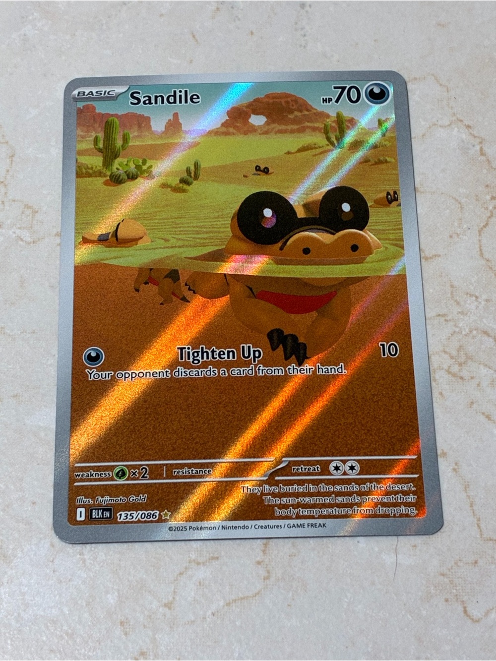 Sandile Holographic Trading Card - Brown
